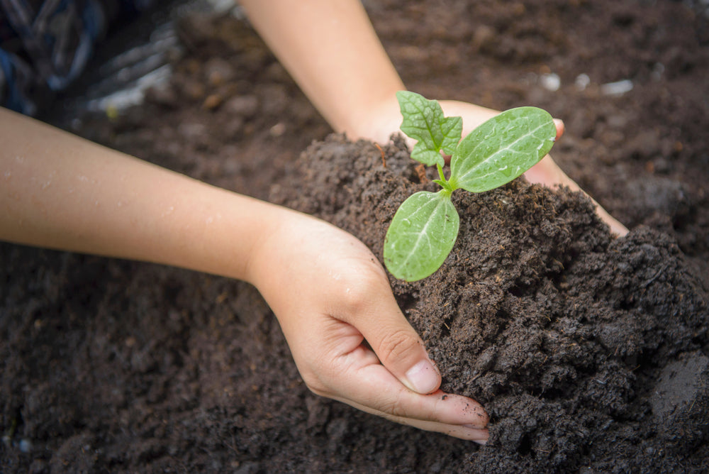 Topsoil