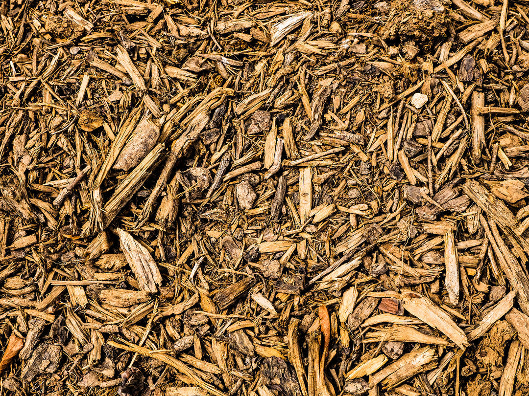 Why mulching is great for your gardens